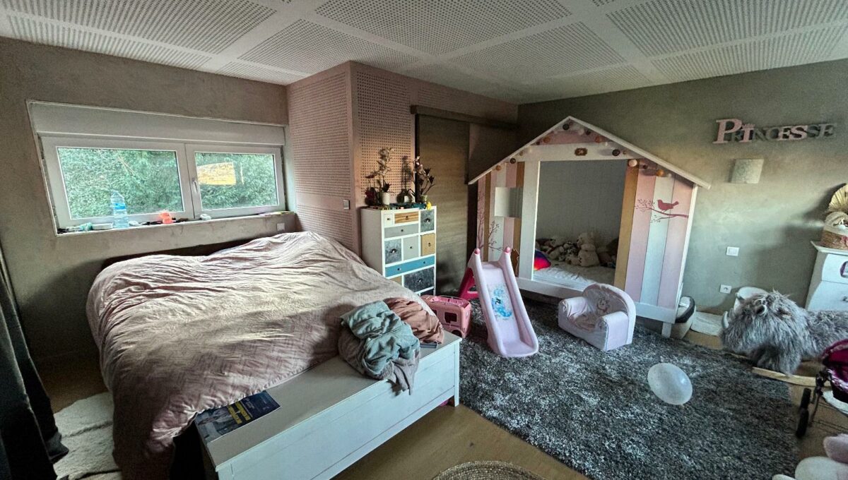 IMG_0415-3679160115468290978