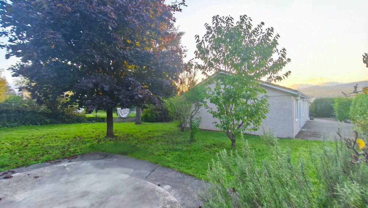 IMG_20251024_170450-9093564831363202969