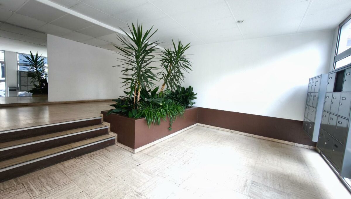 1741017830524-15921618820376430982