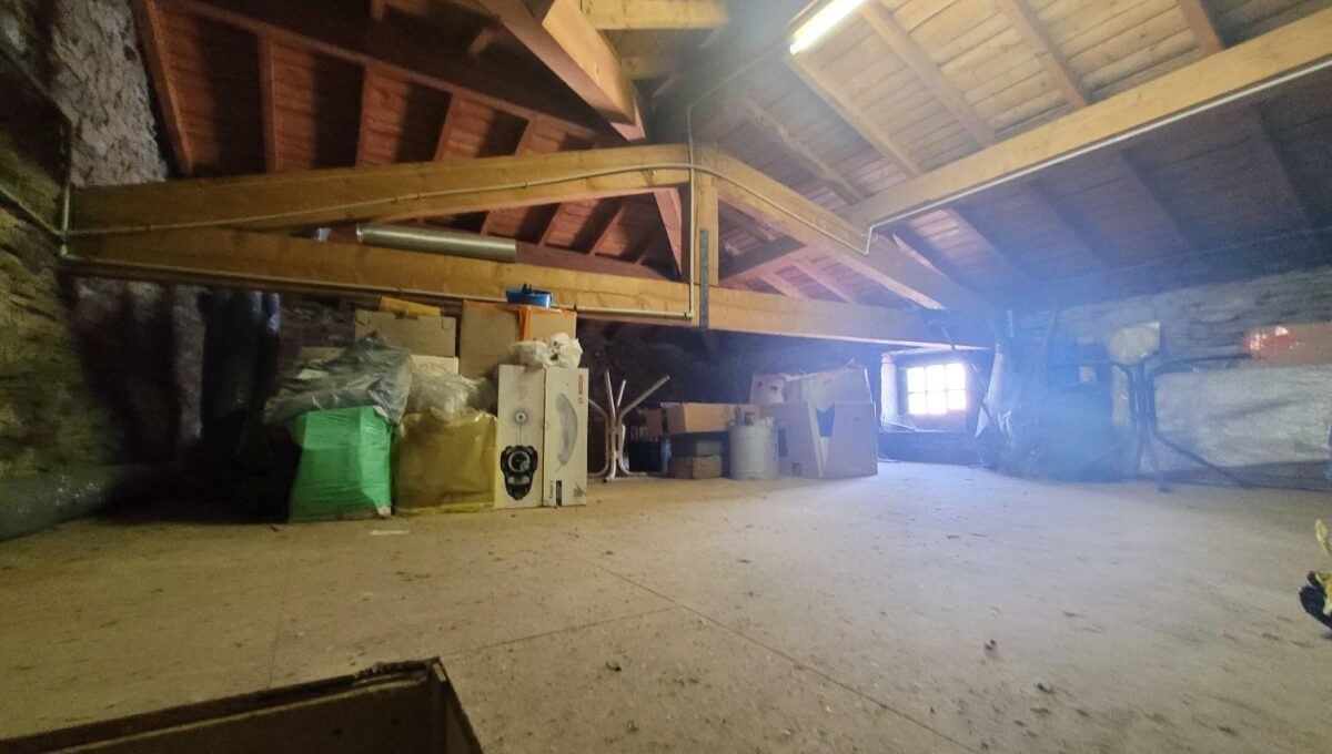 90-90-20230922_143704-609521723474908863