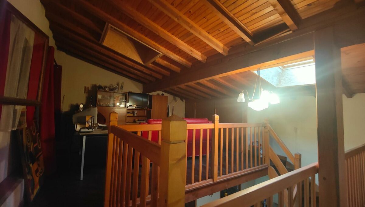 IMG20250109113352-1233206608217755307