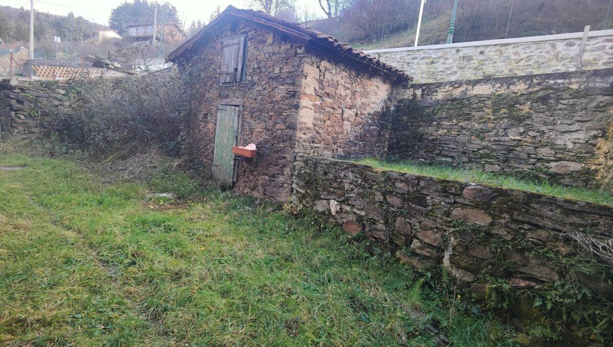 IMG20250109113704-17782717996592430425