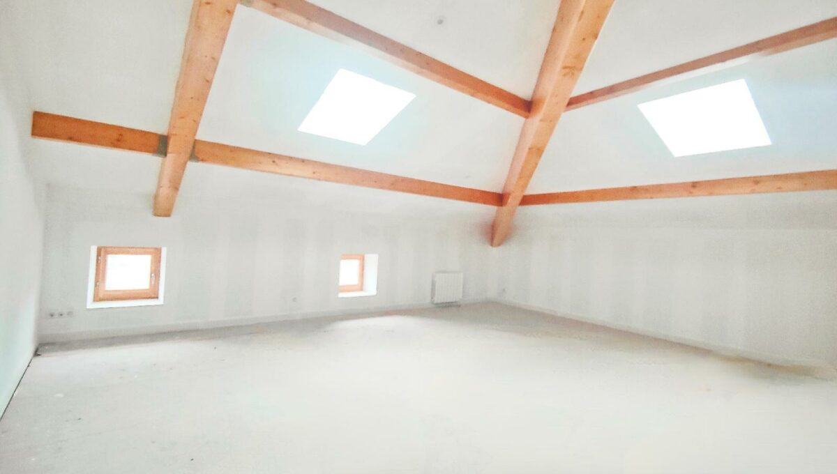 IMG_20250120_171316-14397816584754804299