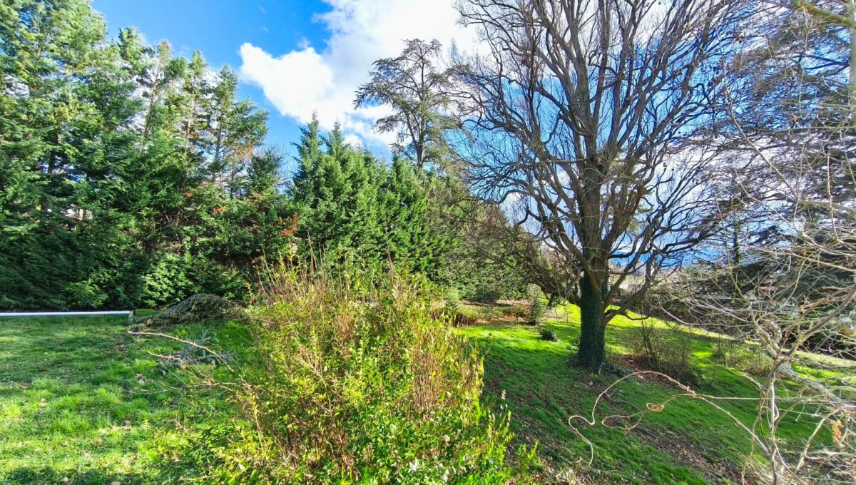 IMG_20250225_152024-15756600167642793002