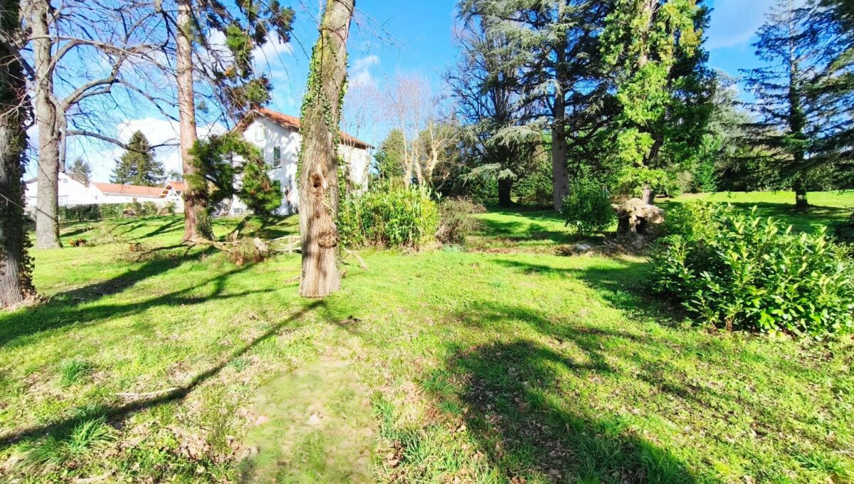 IMG_20250226_003238-7404852041545747602