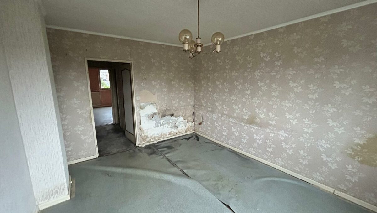 IMG_3225-14443931414865871004