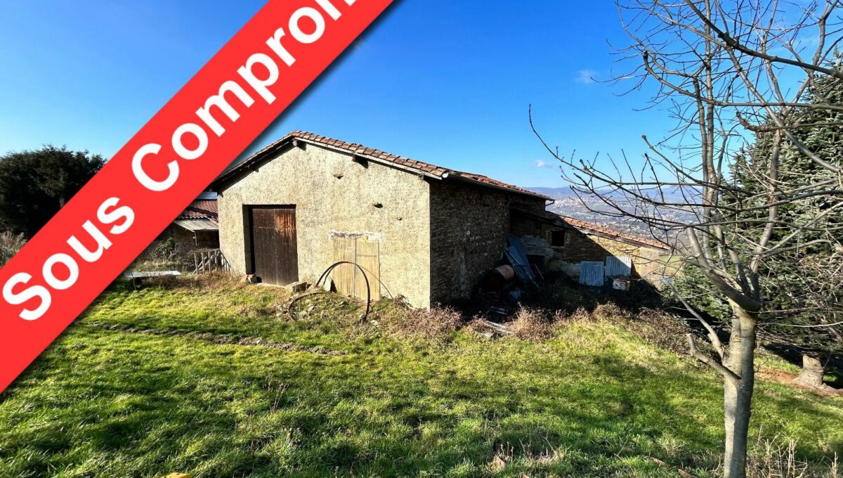 encompromis-IMG_0532-12556851280696417669