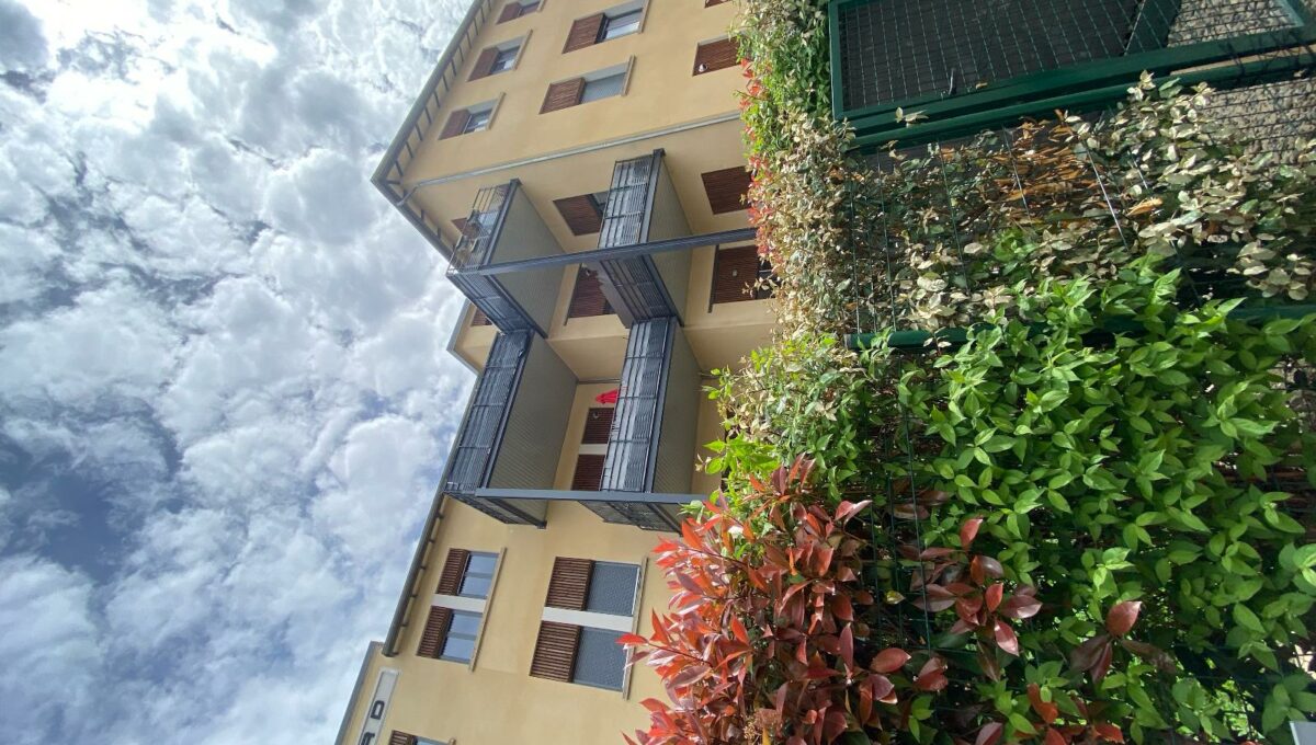 image113-13857892243750905984