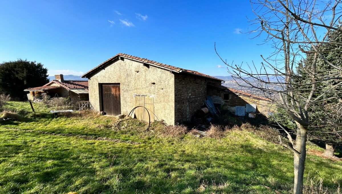 IMG_0532-10142016710099376558