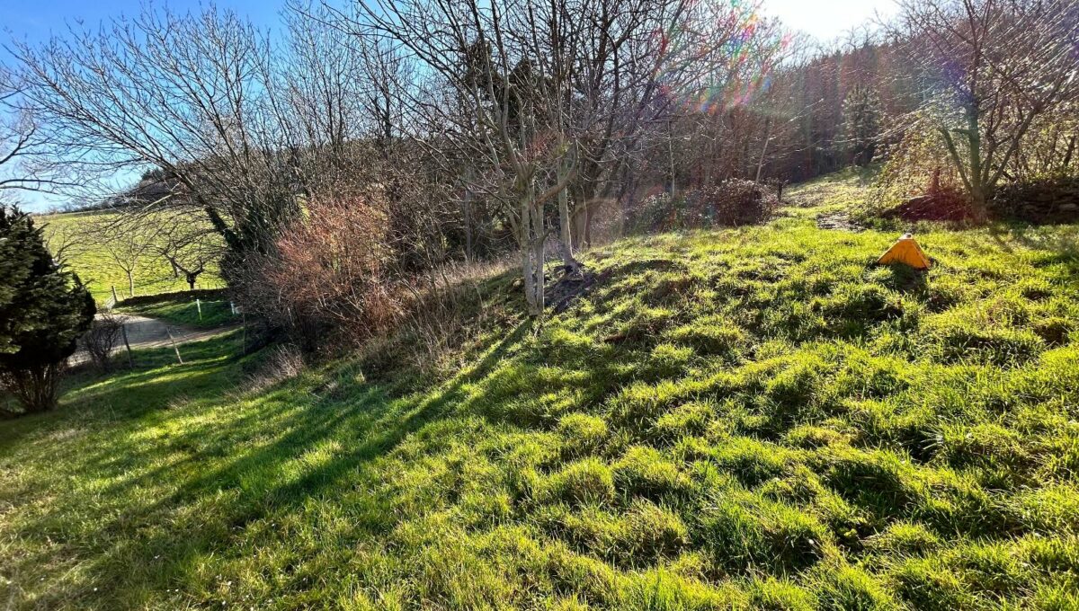 IMG_0687-1164418016502948615