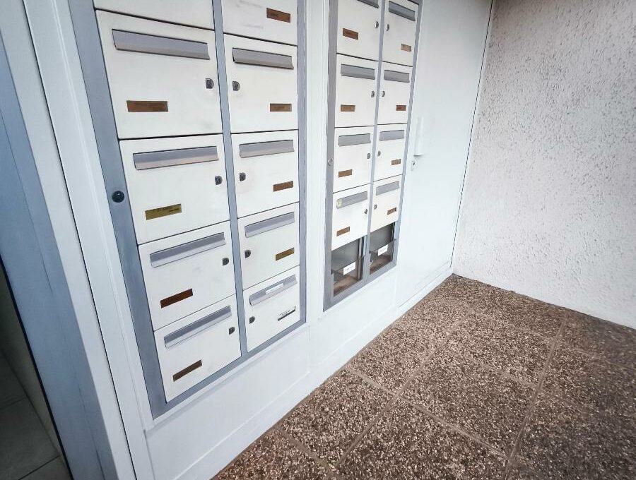 IMG_20250204_174048-9545186235544848262