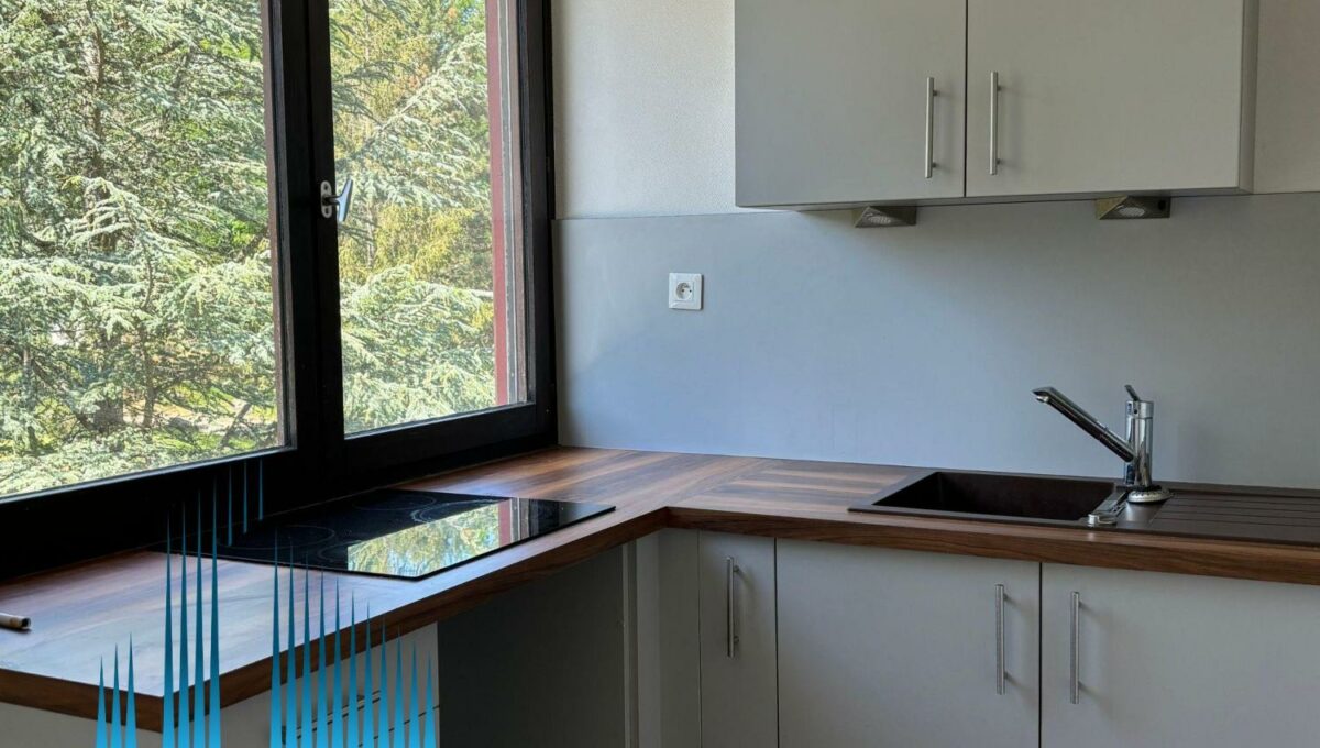 01_206-1463853349377332660