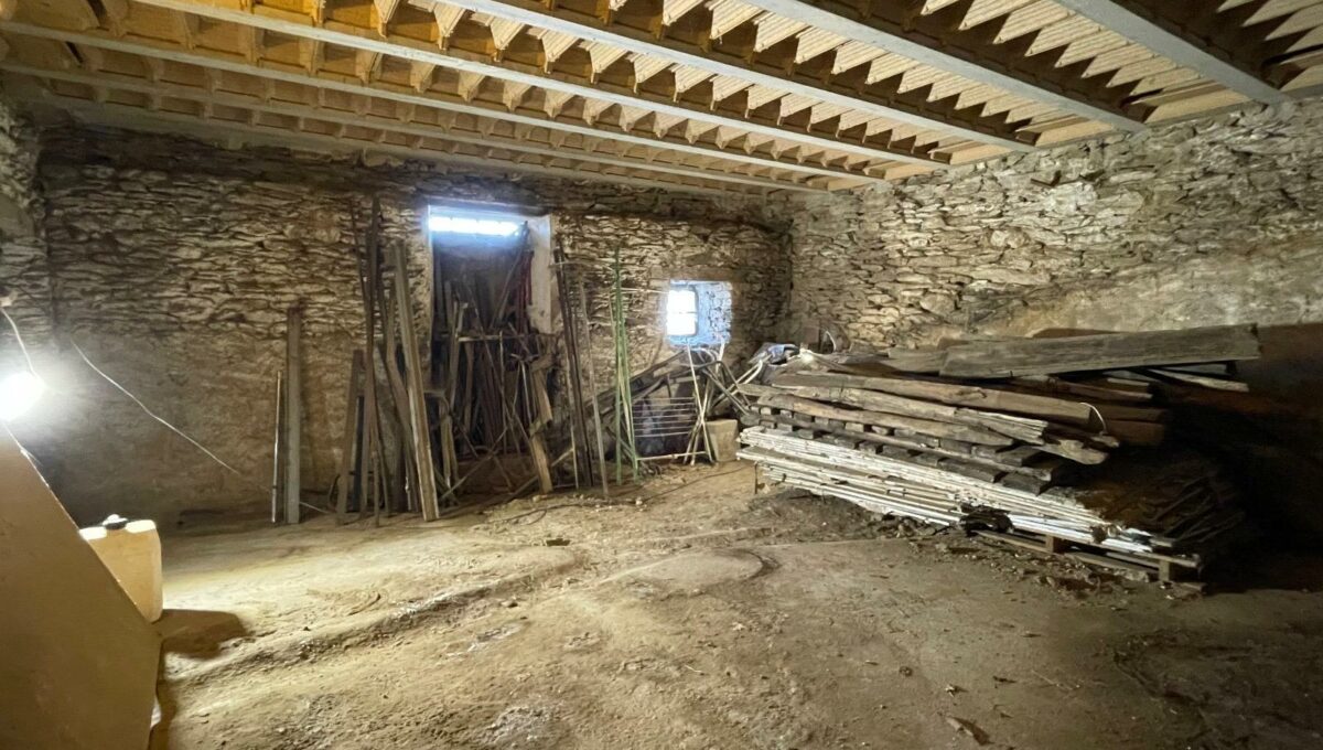 594155c4-1e7f-4059-b644-c5e5eab1a1d0-18347518208381640854