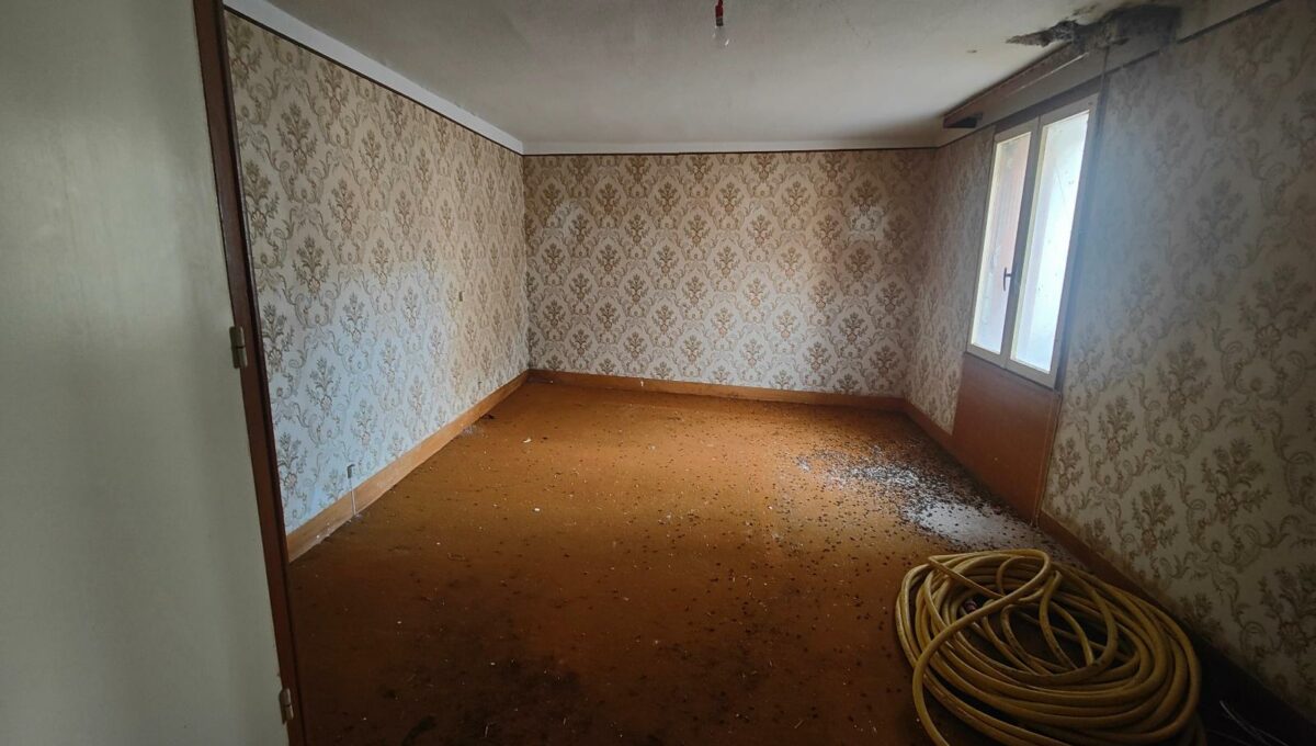 IMG20250109115305-8585240657801123141