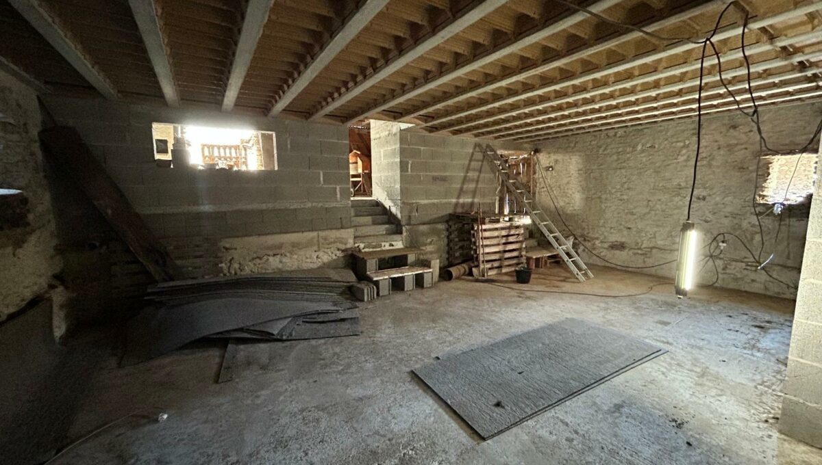 IMG_0535-7744046384586321222