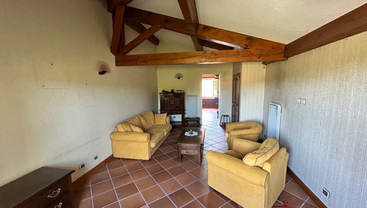 IMG_1750-350733708624256136