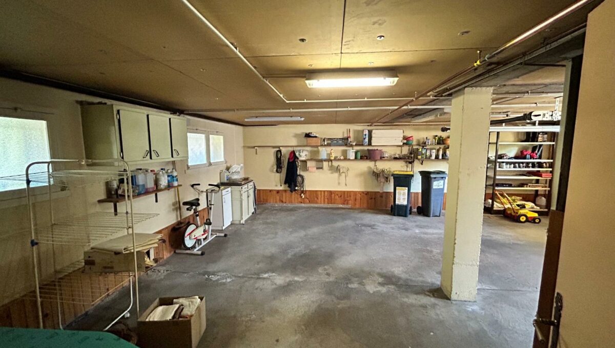 IMG_1752-3034374952409573760