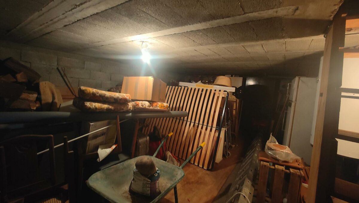 IMG20250109114811-11808866609736893194