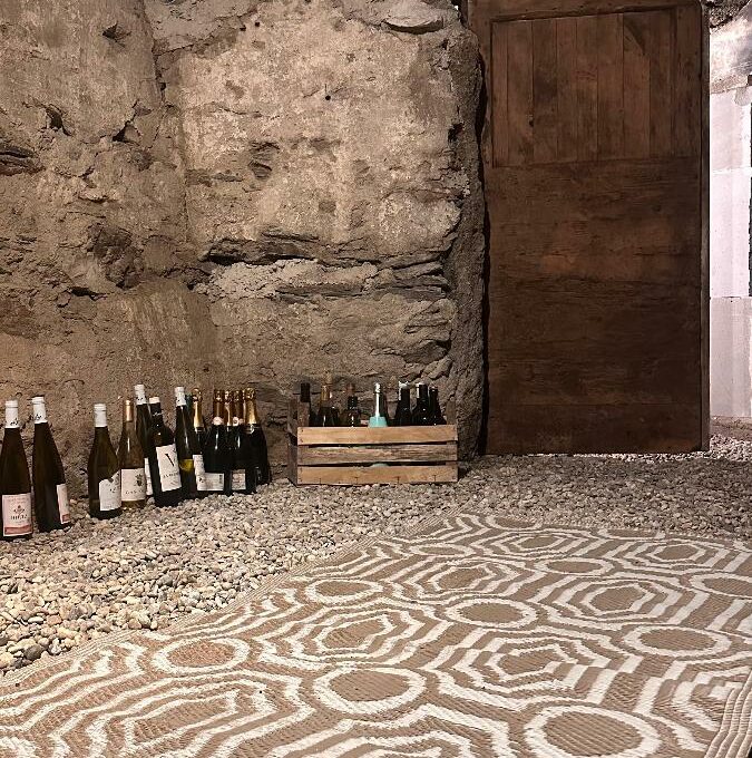 IMG_20250825_144522-17098525463355329771