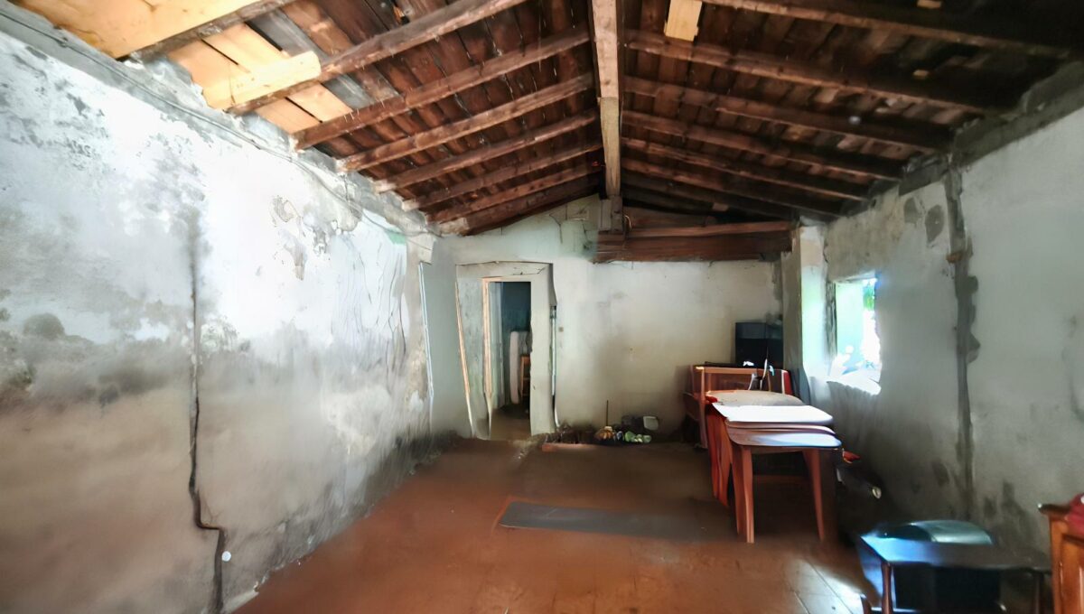 IMG_20251014_140901-4494754741366390728