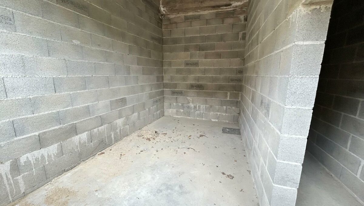 IMG_2699-1532168772836100806