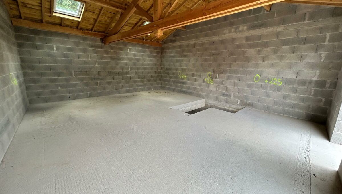 IMG_2704-9393897658135470679