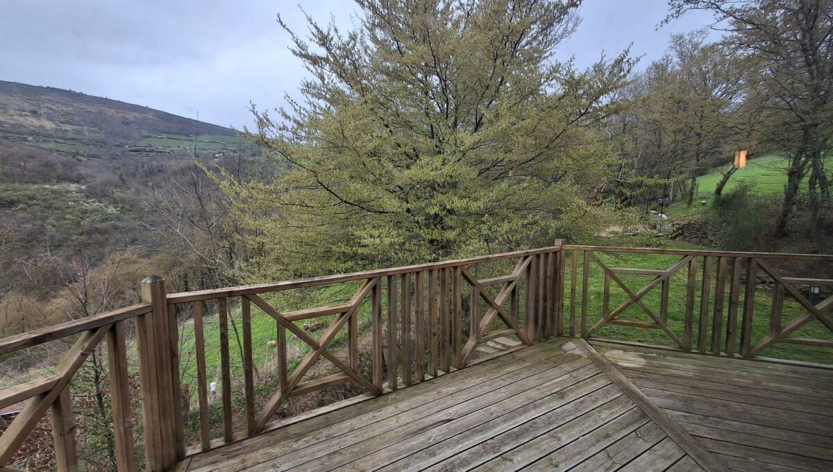 20260330_110451-13112193835378422100