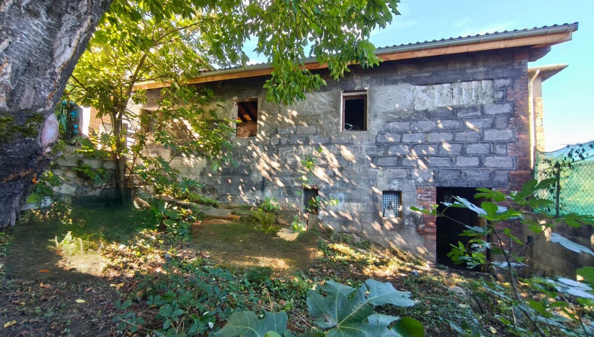 IMG_20251014_140603-6597205217087695920