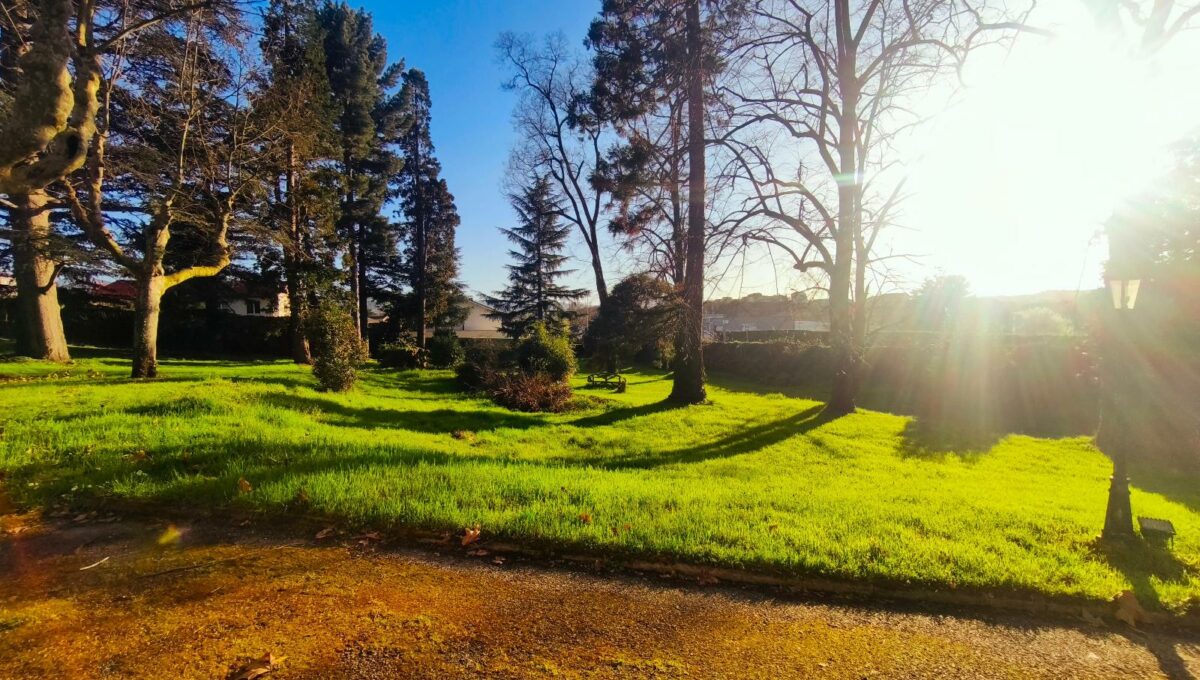 IMG_20260312_171740-6435622808217892863