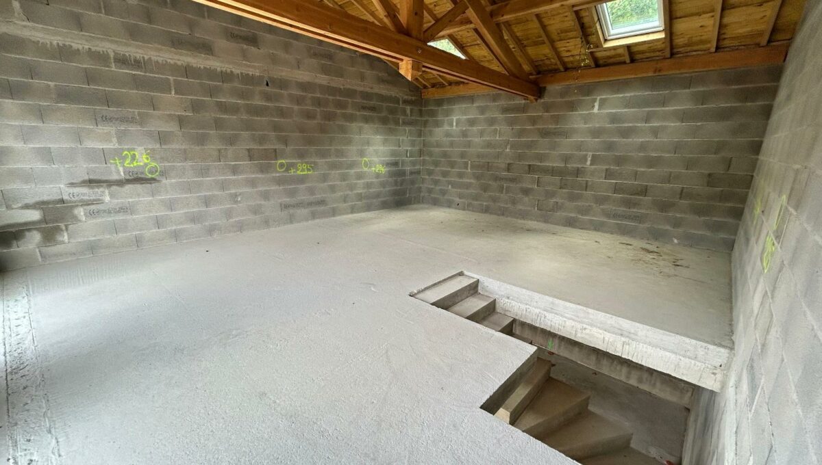 IMG_2706-16275336488565223244